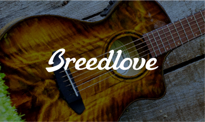 Breedlove